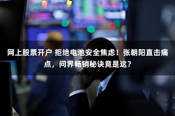 网上股票开户 拒绝电池安全焦虑！张朝阳直击痛点，问界畅销秘诀竟是这？